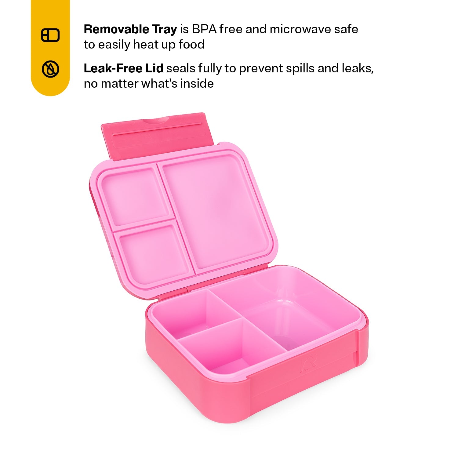 Day Packer Lunch Container